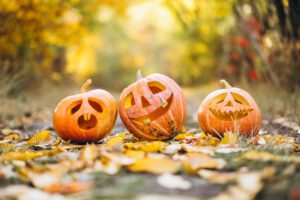So bekommst du den perfekten Halloween-Kürbis – die 6 besten Tipps