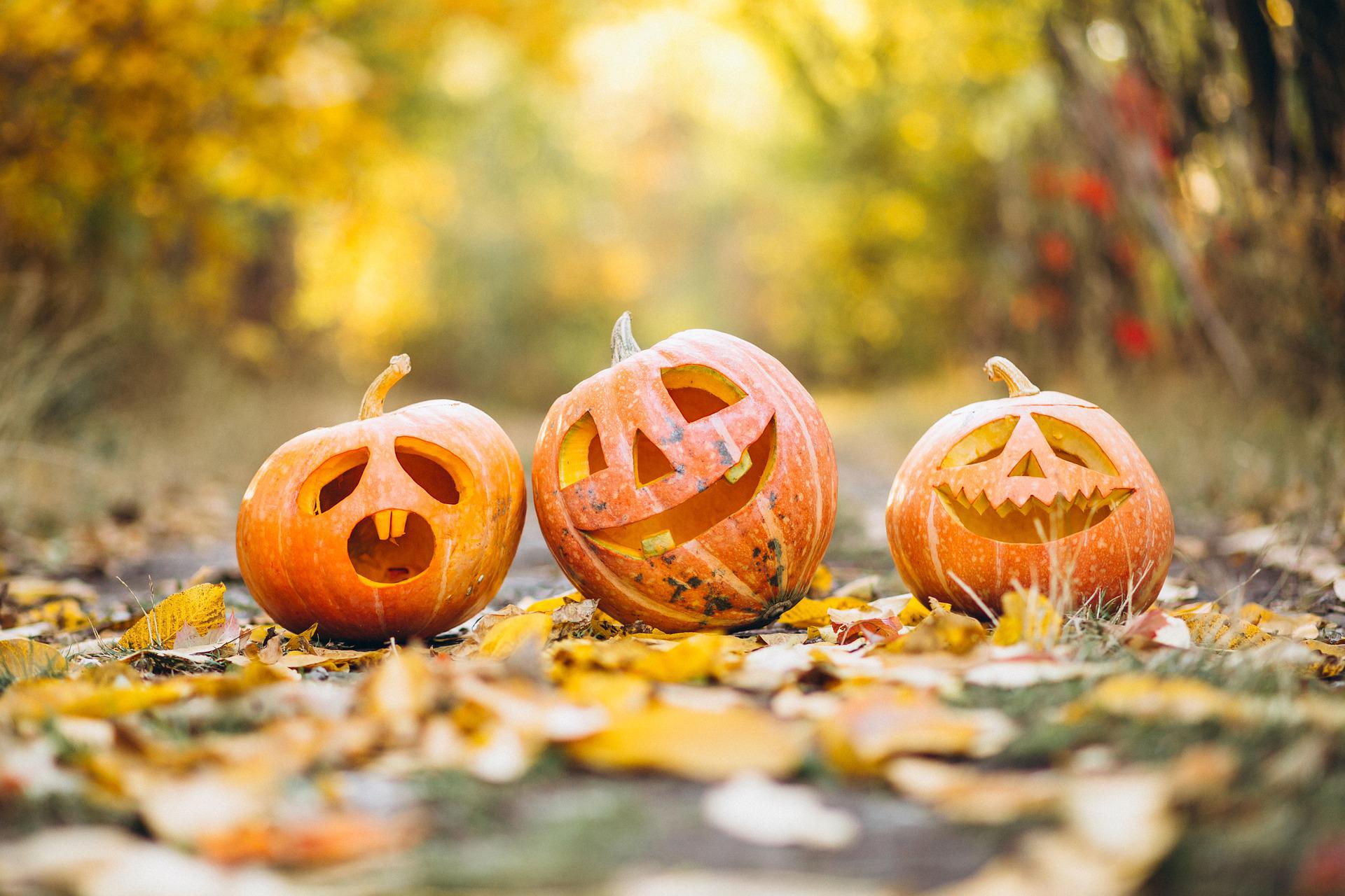 Read more about the article Halloween-Kürbis schnitzen und haltbar machen – die 6 besten Tipps
